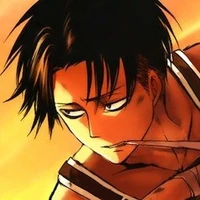 levi