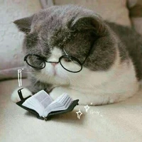 Tác giả "chăm viết truyện"