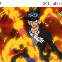 Sabo