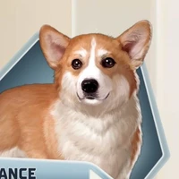 Corgi the System