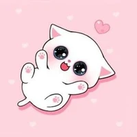 Chiu Chiu