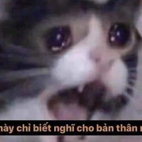 Tôi