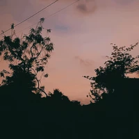 Nv phụ