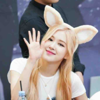 Park Chaeyoung 