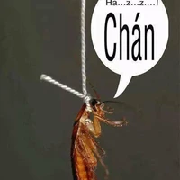 Tác Giả