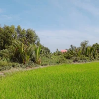 nhiều vai