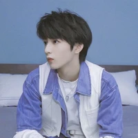 Lưu Diệu Văn(anh)