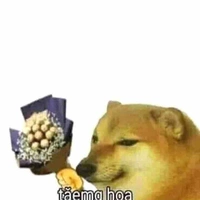 Tác giả là mị