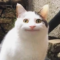 Me