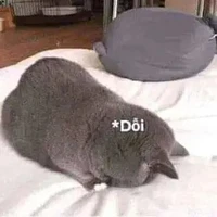 loz