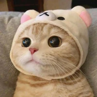 Linh đô ( tác giả :^)