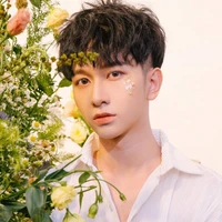 Đỗ Hoàng Dương( A5)