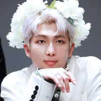 RM ( Kim Namjoon )