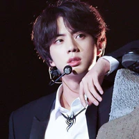 Jin ( Kim Seokjin )