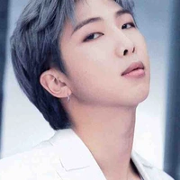 Kim NamJoon ( RM )