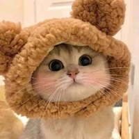 Hệ thống Mèo 
