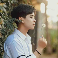 Ba y/n