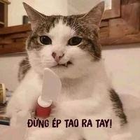 Teo Là Tác Giả/Mồm Lèo:))