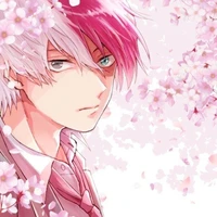 Todoroki Shouto