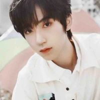 Hạ Tuấn Lâm 