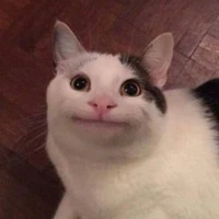 Tác giả vô tri vừa thôy