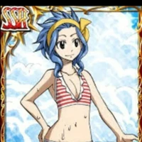 levy