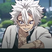 sanemi shinazugawa (phong trụ)