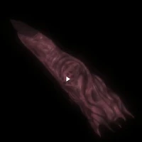 Ngón tay Sukuna Ryomen