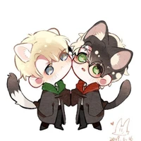 Luna Malfoy Potter 🐍🦁