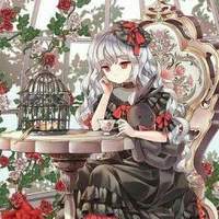 Hasu chan