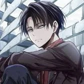 Levi