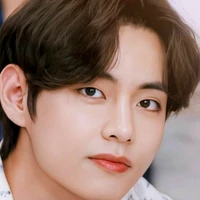 Kim Tae Hyung ( V)