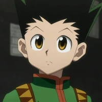 Gon Freecss