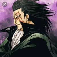 Monkey D Dragon
