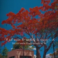 Quần Chúng..v..v..