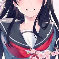 Y/N