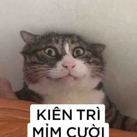 Coan dẫn chuyện hóng hớt xàm xí nghiệp n