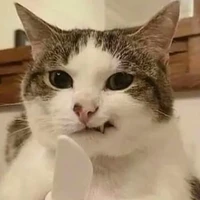 Meww~