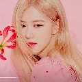 Rose - vợ Lisa