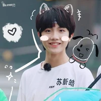 Tô Tân Hạo