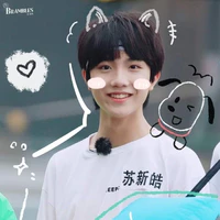 Tô Tân Hạo