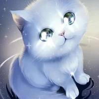 Genzi/cat
