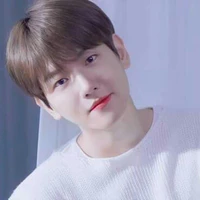 Lee Baekyun ( ba Ami )