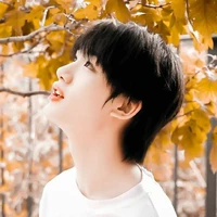 Đinh Trình Hâm