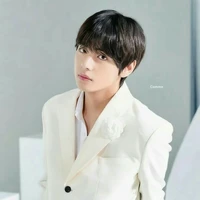 Kim Taehyung/V