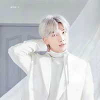 Kim Namjoon/RM
