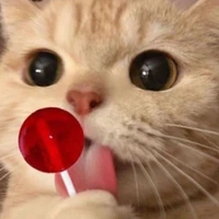 hệ thống 836(lưu tiểu)