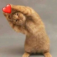 tác giả 🙂