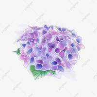 😊😊Đội đối thủ😊😊