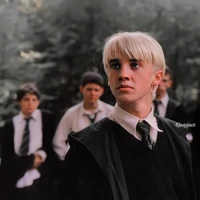 Draco🍏